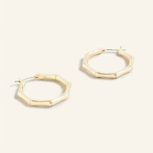 Ann taylor hoop earrings